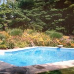 Photo of an inground pool in Naperville, IL