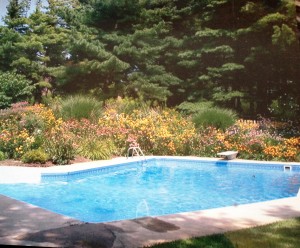 Photo of an inground pool in Naperville, IL