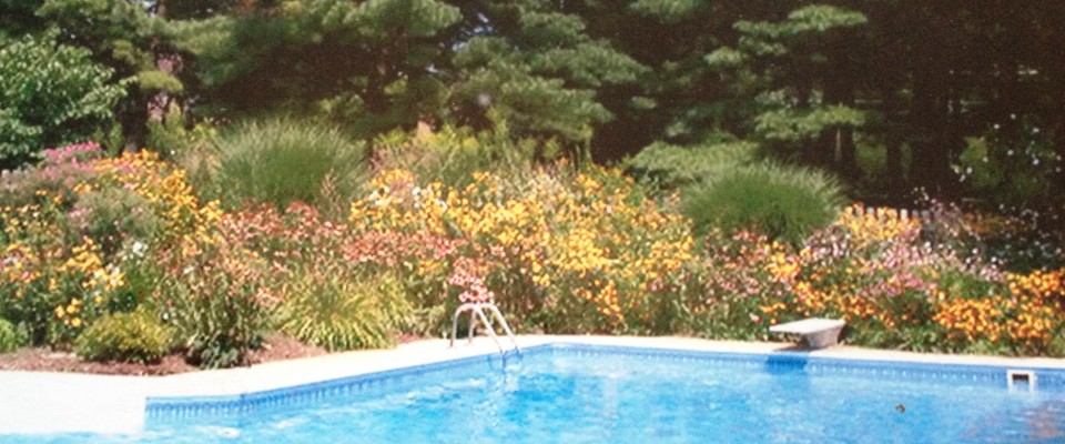 Photo of an inground pool in Naperville, IL